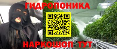 ешки Ноябрьск